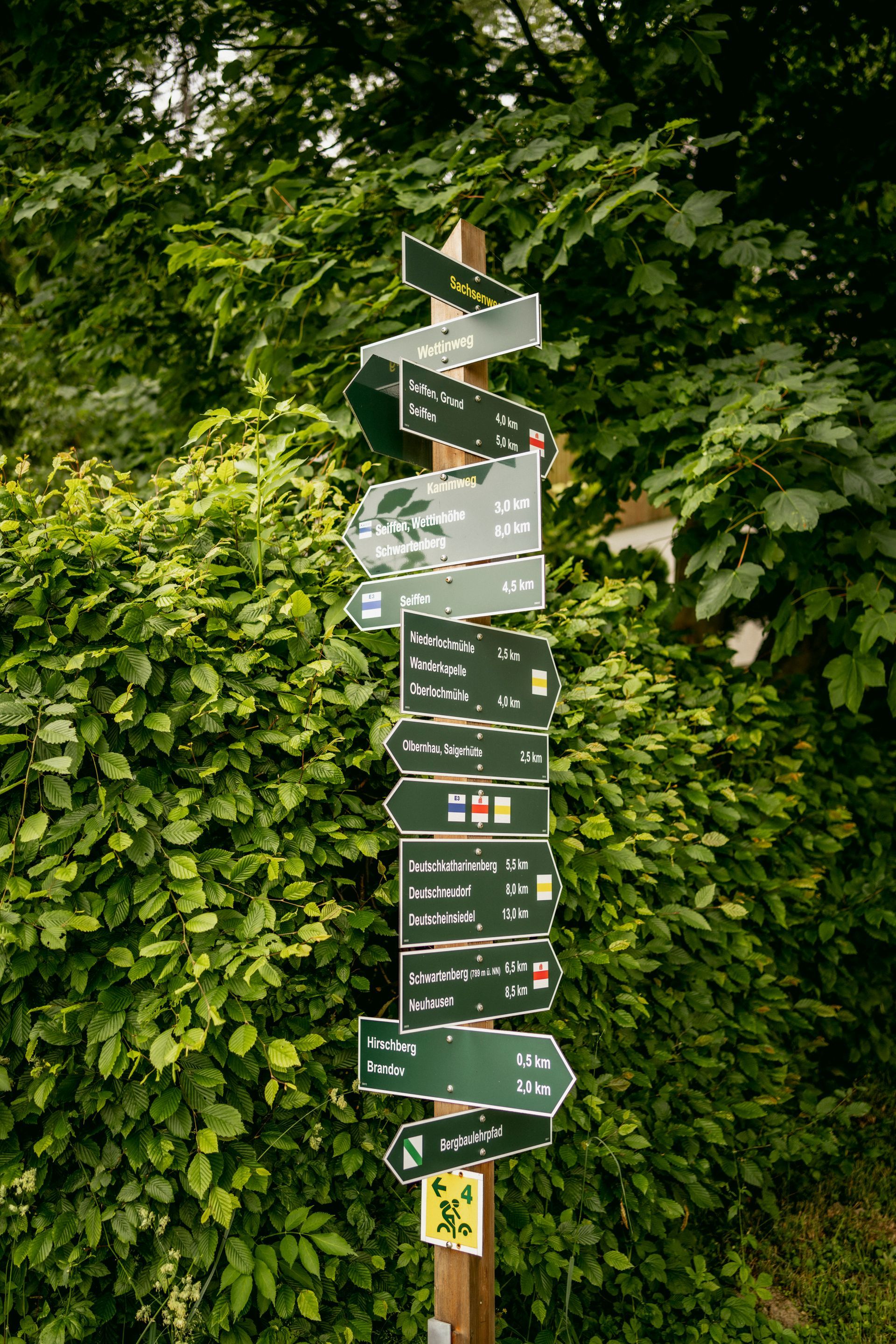 Holzwegweiser mit vielen grünen Wegweisern in einer Waldlandschaft.