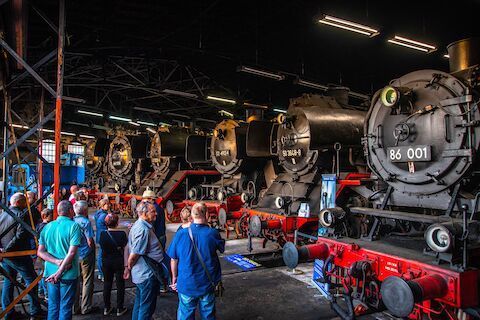Menschen betrachten historische Dampflokomotiven in einem Lokschuppen; schwarze und rote Loks.