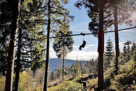 Weißes, rundes Gebäude mit schwarzem Dach, grüner Tür und Kletterpflanzen; sonniger Tag.