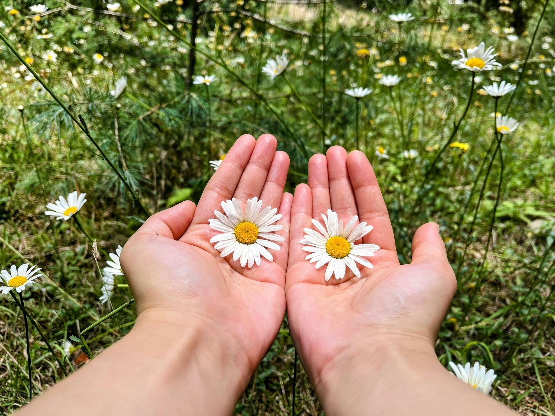 Eine Hand öffnet den Vorhang und gibt den Blick auf Bäume und Himmel frei.