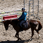 Des stages d'équitation toute l'année