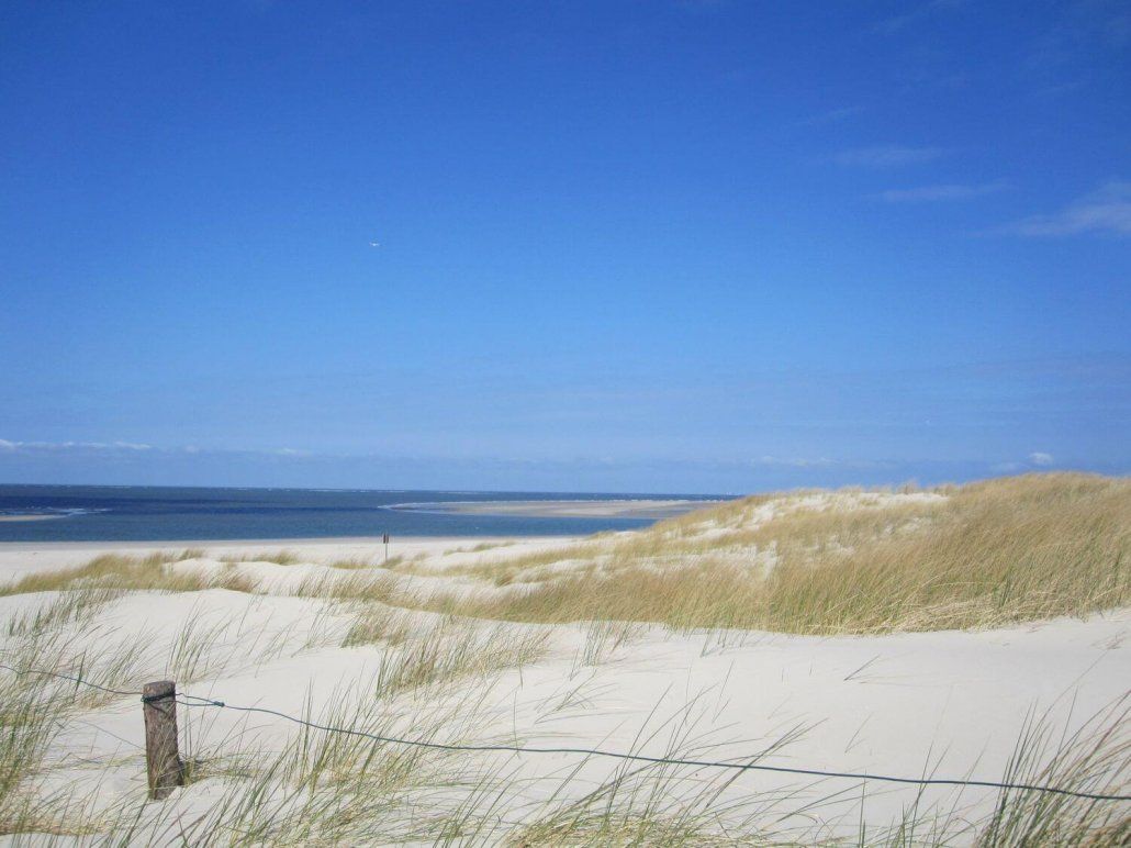 Sandige Dünen mit Strandgras unter strahlend blauem Himmel, mit Blick auf ein ruhiges Meer.