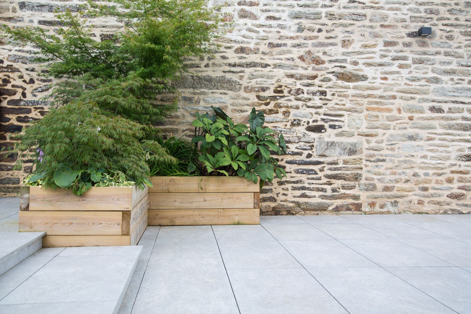 Terrasse avec plantes d'extérieur