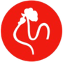 LOGO - OSTERIA GALLO D'ORO DI MATTEO E LISABETH NAPOLITANO SNC