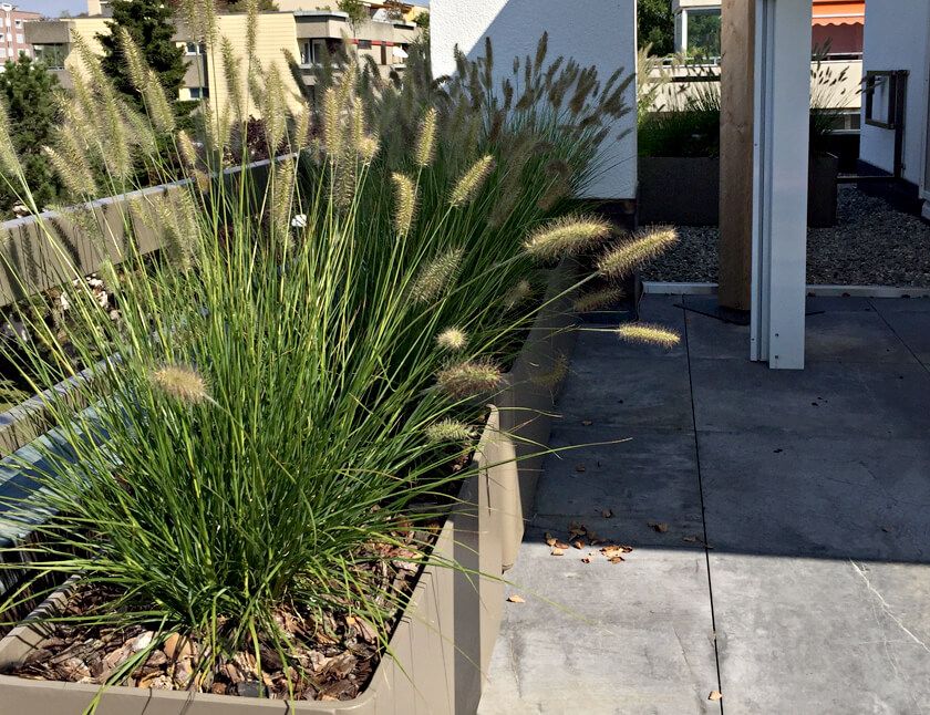 Garten Bauen - Adrian Kübler Gartengestaltung - Schaffhausen