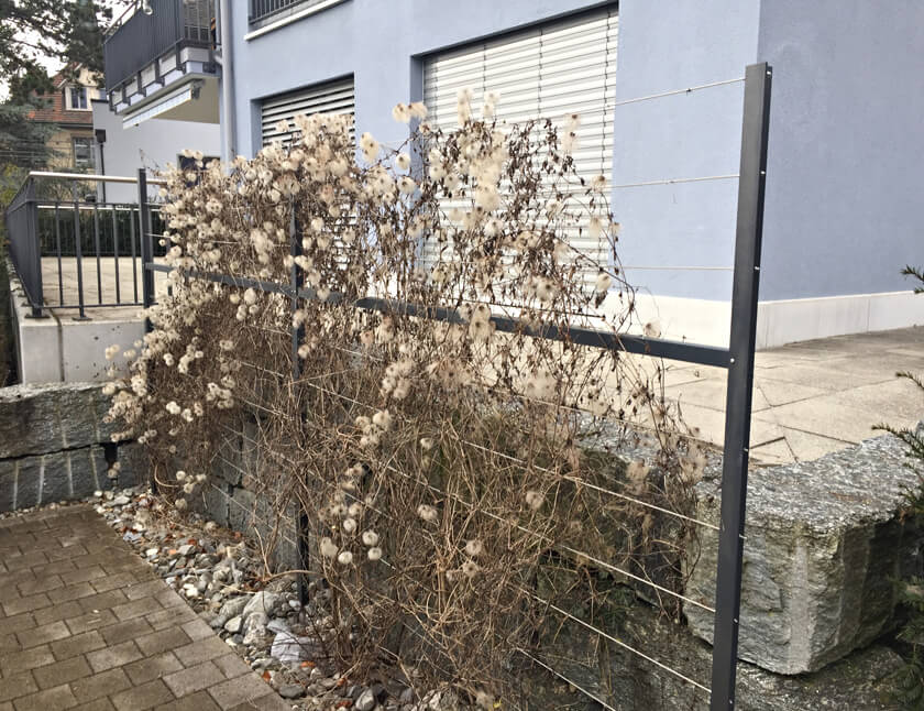 Garten Gestalten - Adrian Kübler Gartengestaltung - Schaffhausen