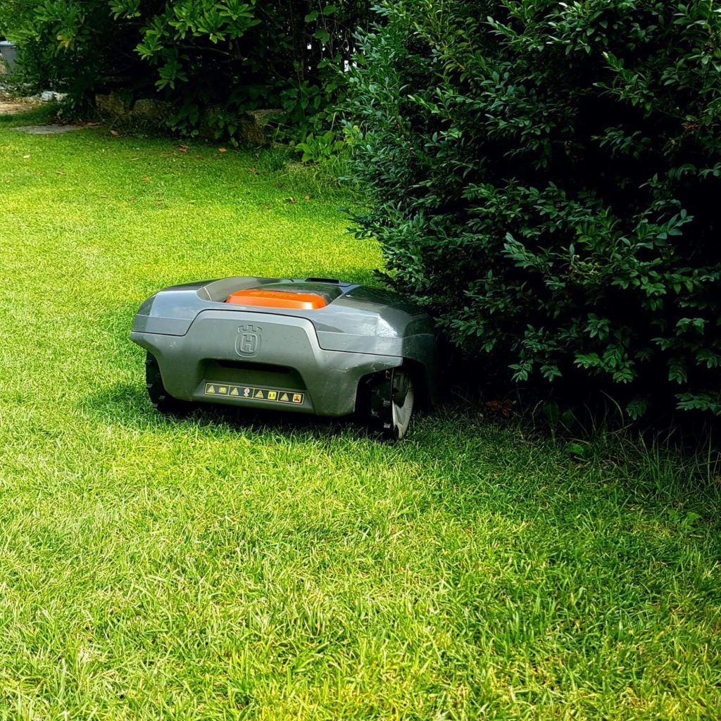 Rasen - Adrian Kübler Gartengestaltung - Schaffhausen