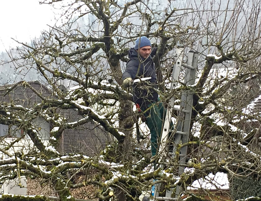 Winterdienst - Adrian Kübler Gartengestaltung - Schaffhausen
