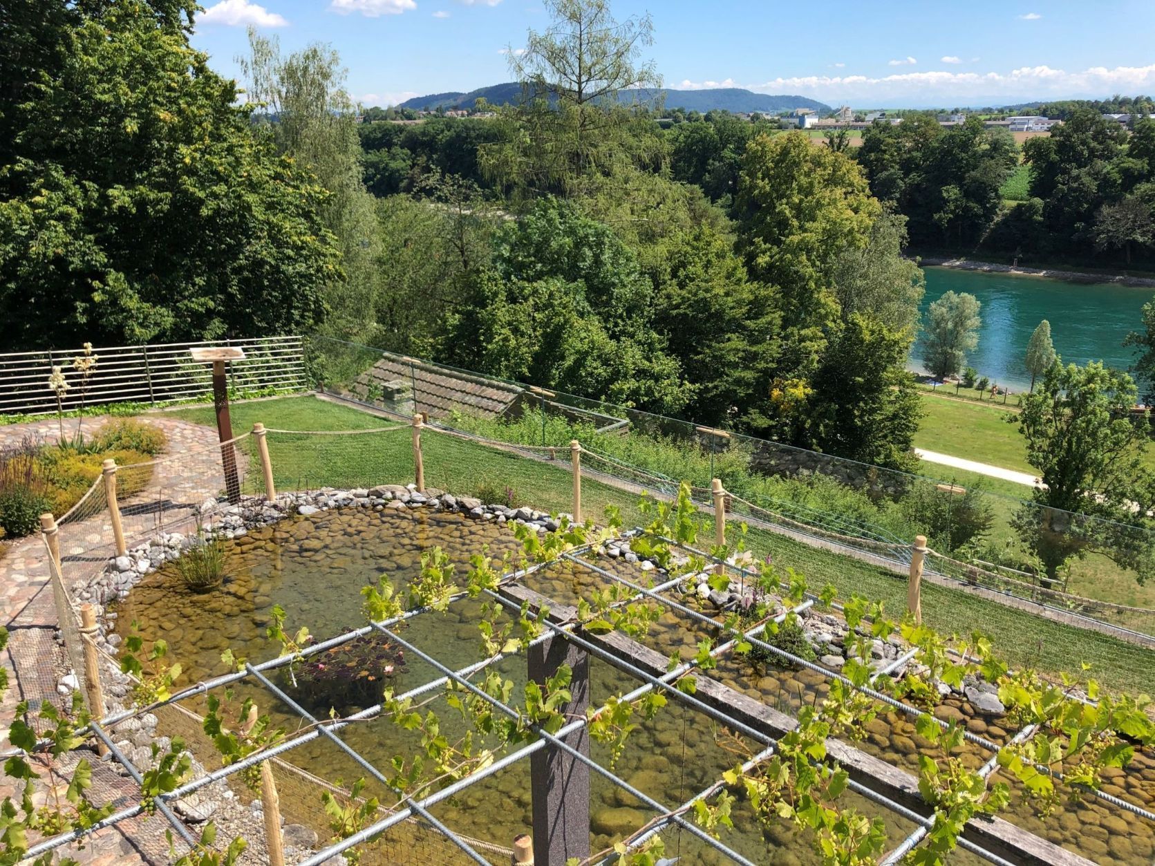 Netzzaun mit Rubinienpfosten Dörflingen