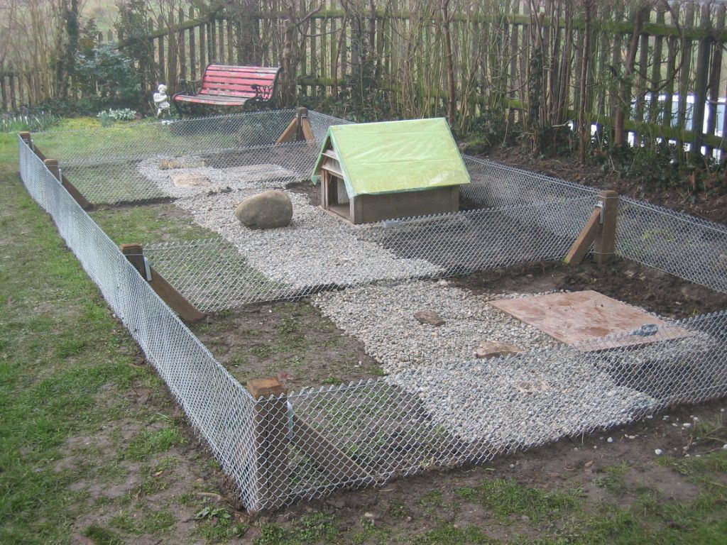 Schildkrötengehege Feuerthalen
