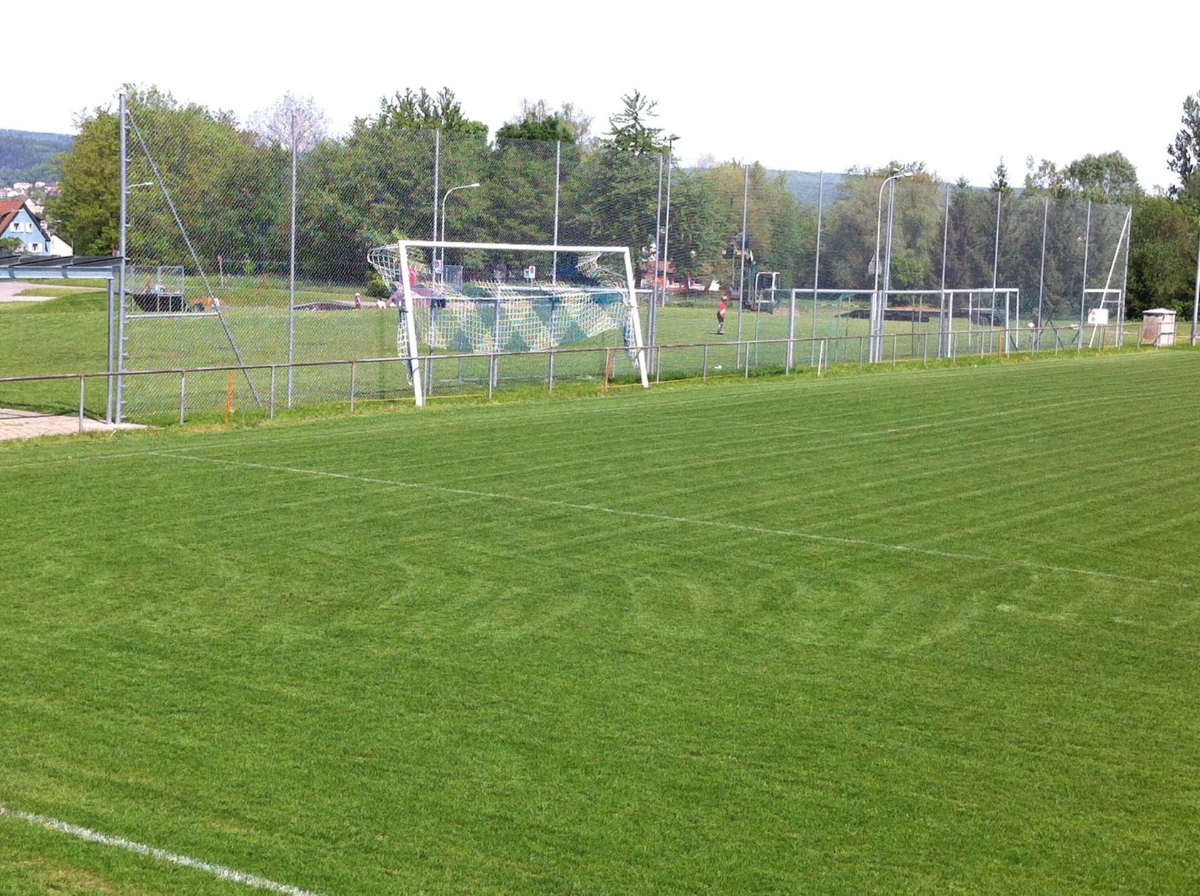 Ballfang Golf Range Weinland Dachsen