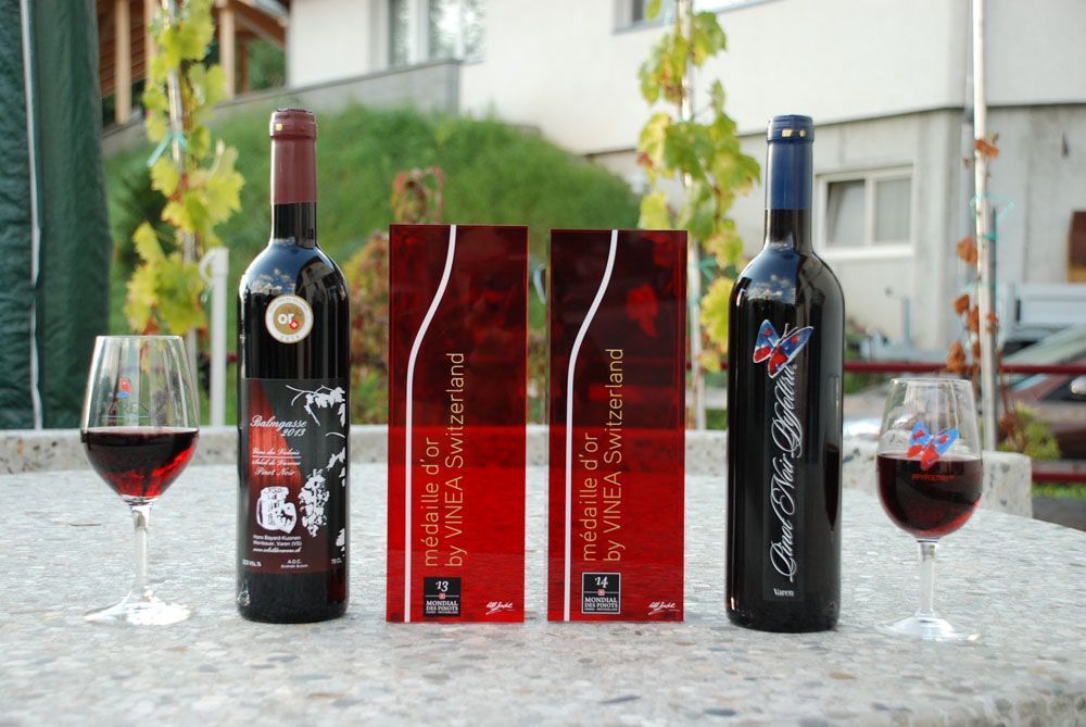 Hans Bayard - Soleil de Varone GmbH