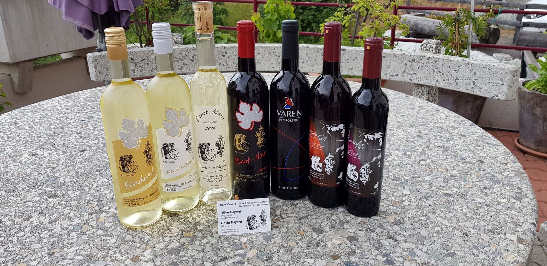 Hans Bayard - Soleil de Varone GmbH