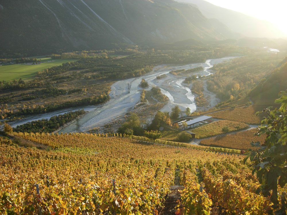 Hans Bayard - Soleil de Varone GmbH