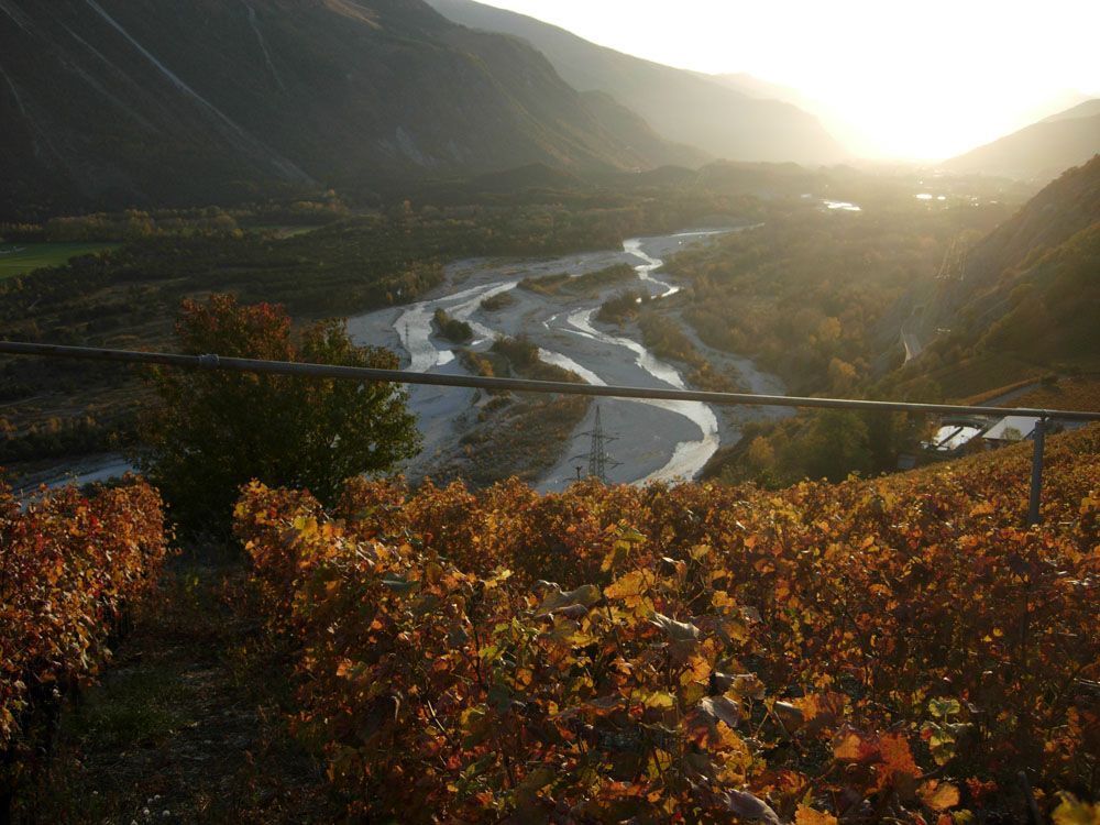 Hans Bayard - Soleil de Varone GmbH