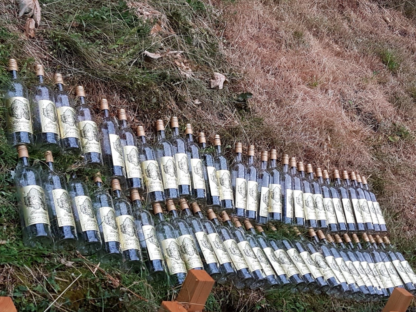 Hans Bayard - Soleil de Varone GmbH