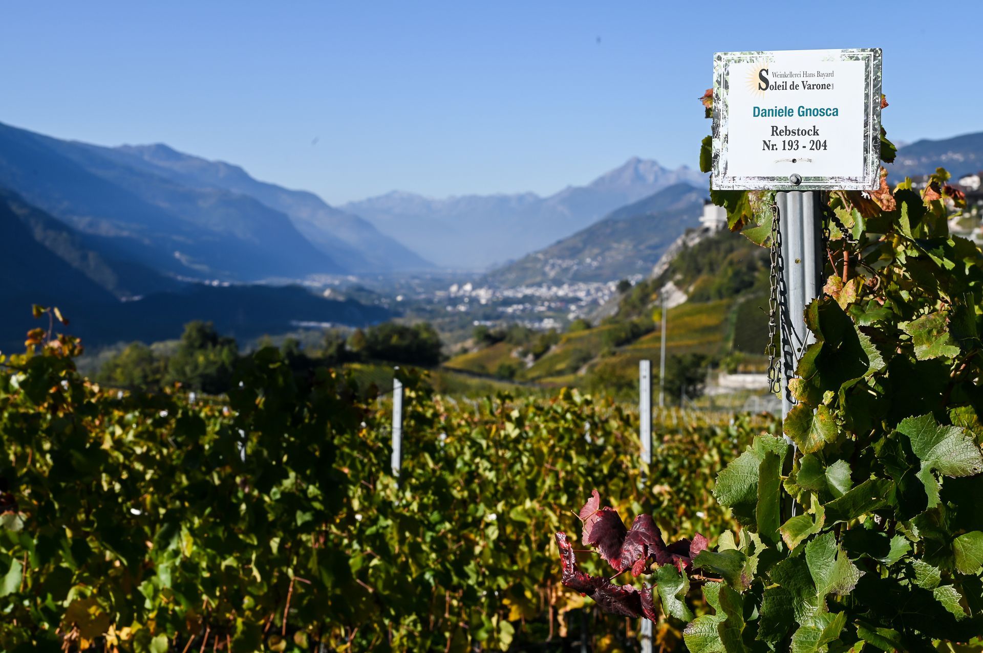 Hans Bayard - Soleil de Varone GmbH