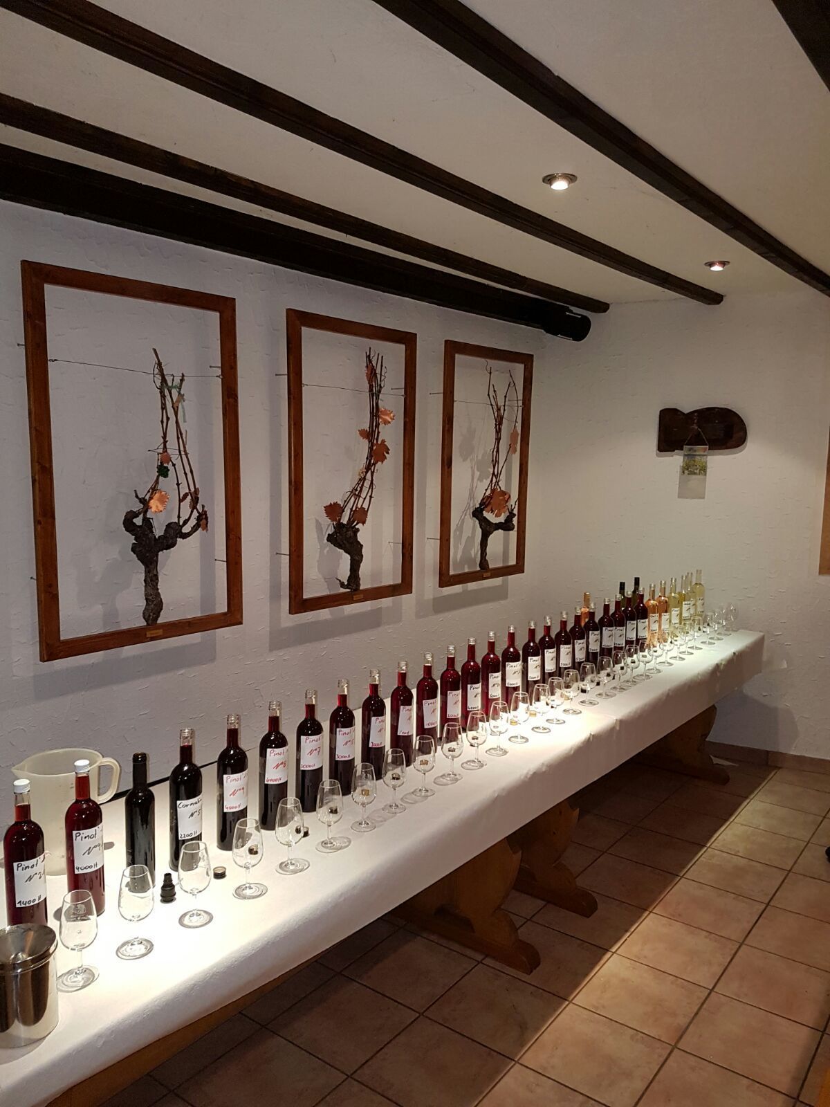 Hans Bayard - Soleil de Varone GmbH