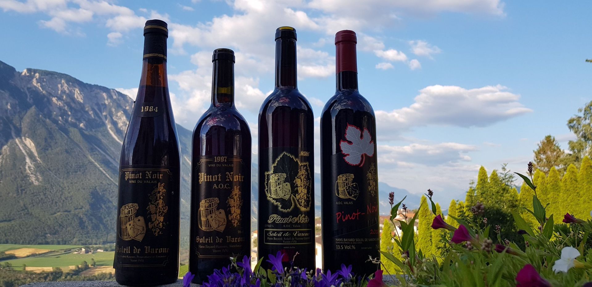 Hans Bayard - Soleil de Varone GmbH