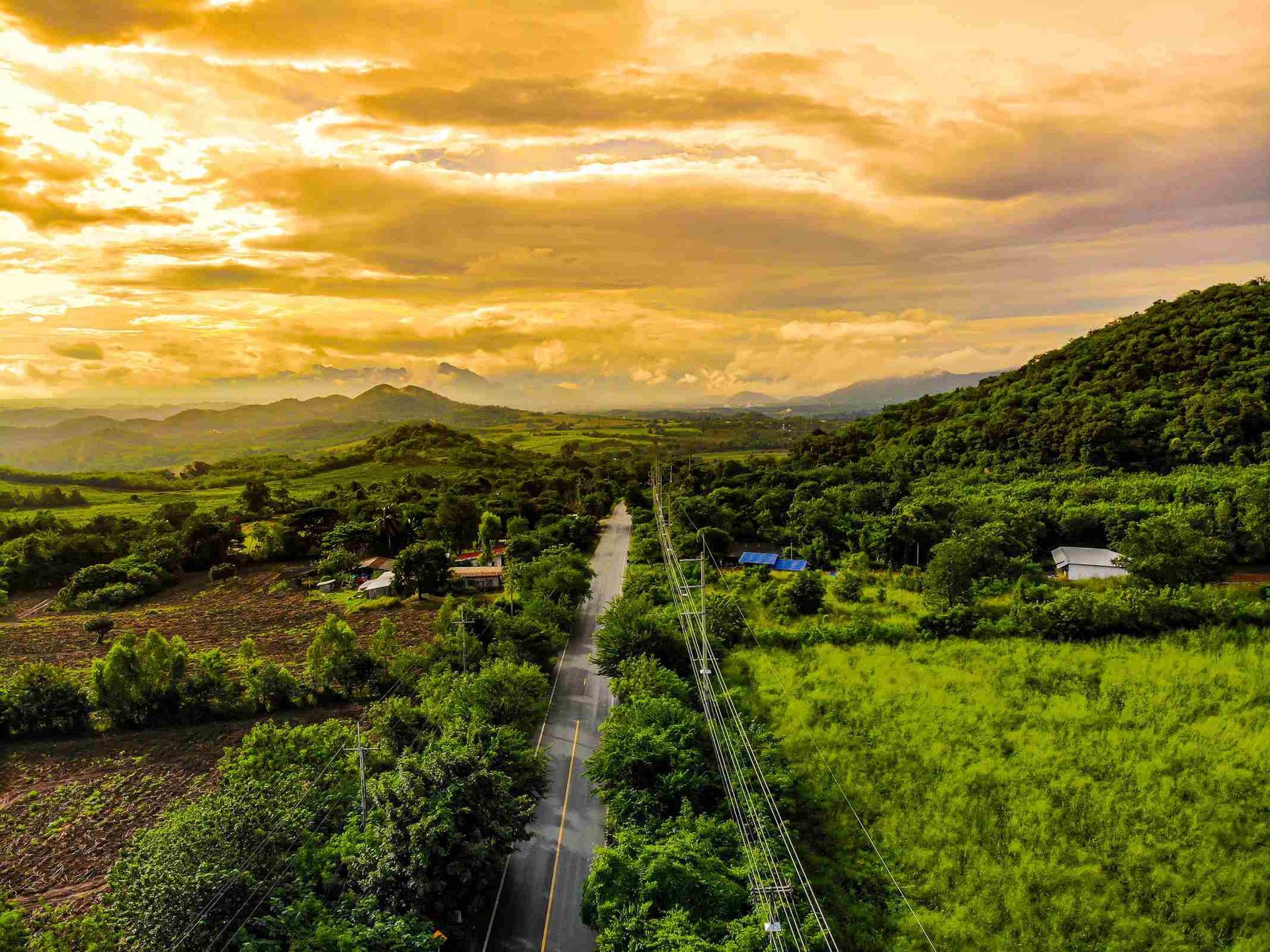 Camino que serpentea a través de exuberantes campos verdes y árboles, bajo una puesta de sol dorada.