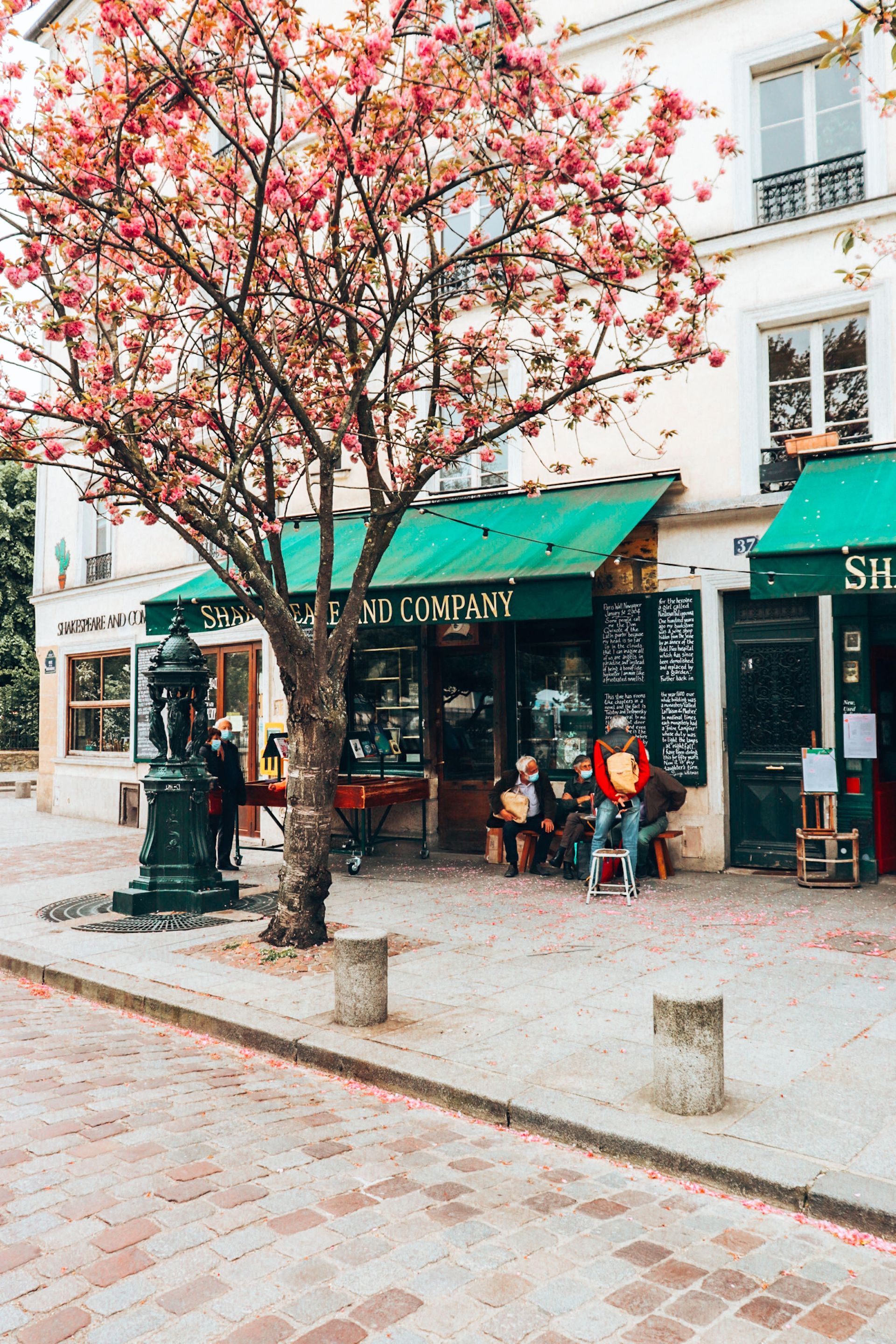 Tree-lined café storefront with green awnings and outdoor seating on a cobblestone street