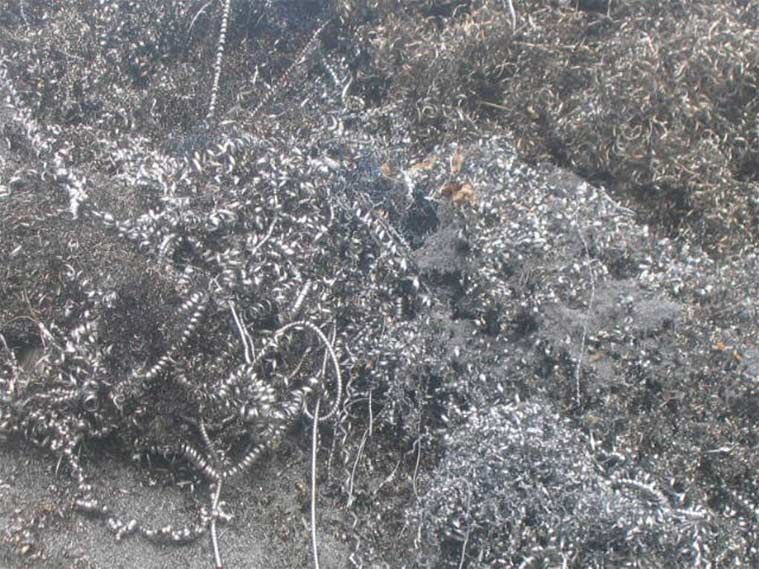 Un primer plano de una pila de virutas en el suelo.