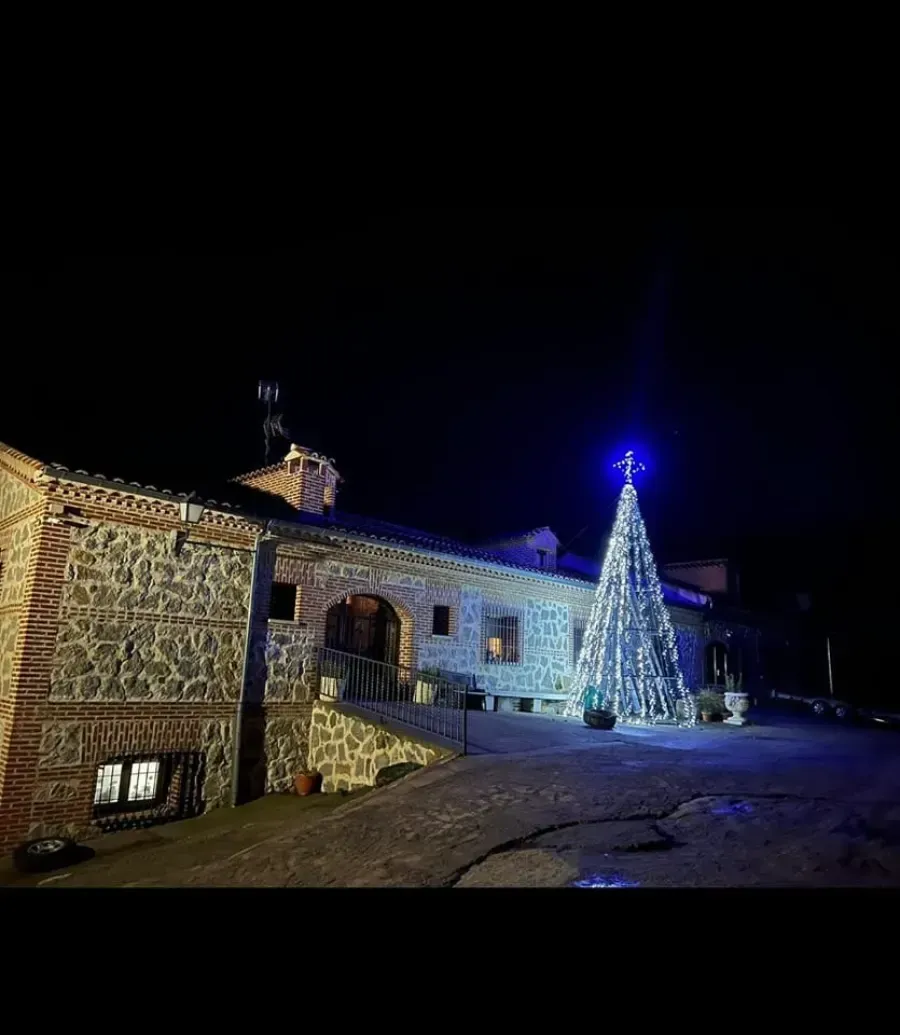 Edificio de piedra por la noche con un árbol de Navidad iluminado de azul y luces festivas