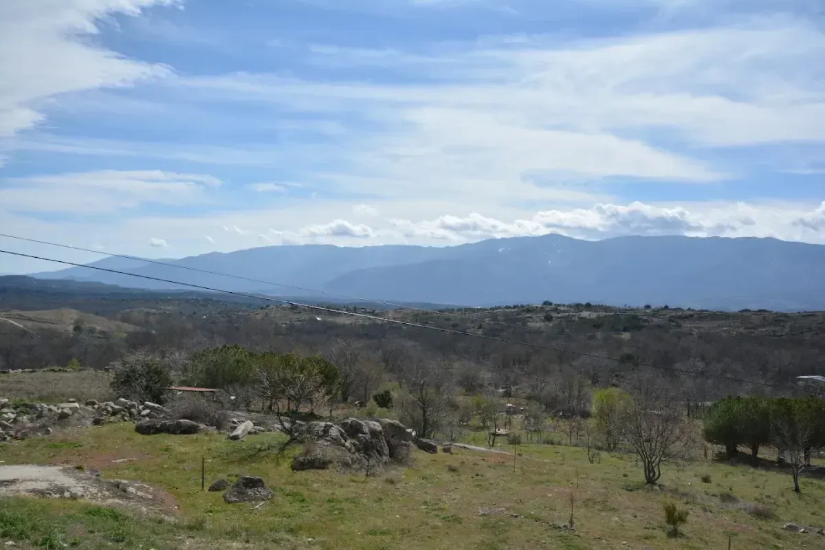 Amplio valle cubierto de hierba con árboles y rocas dispersas, con montañas azules al fondo bajo un cielo nublado.
