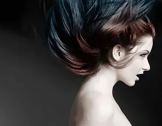 parturikampaamoneilikka