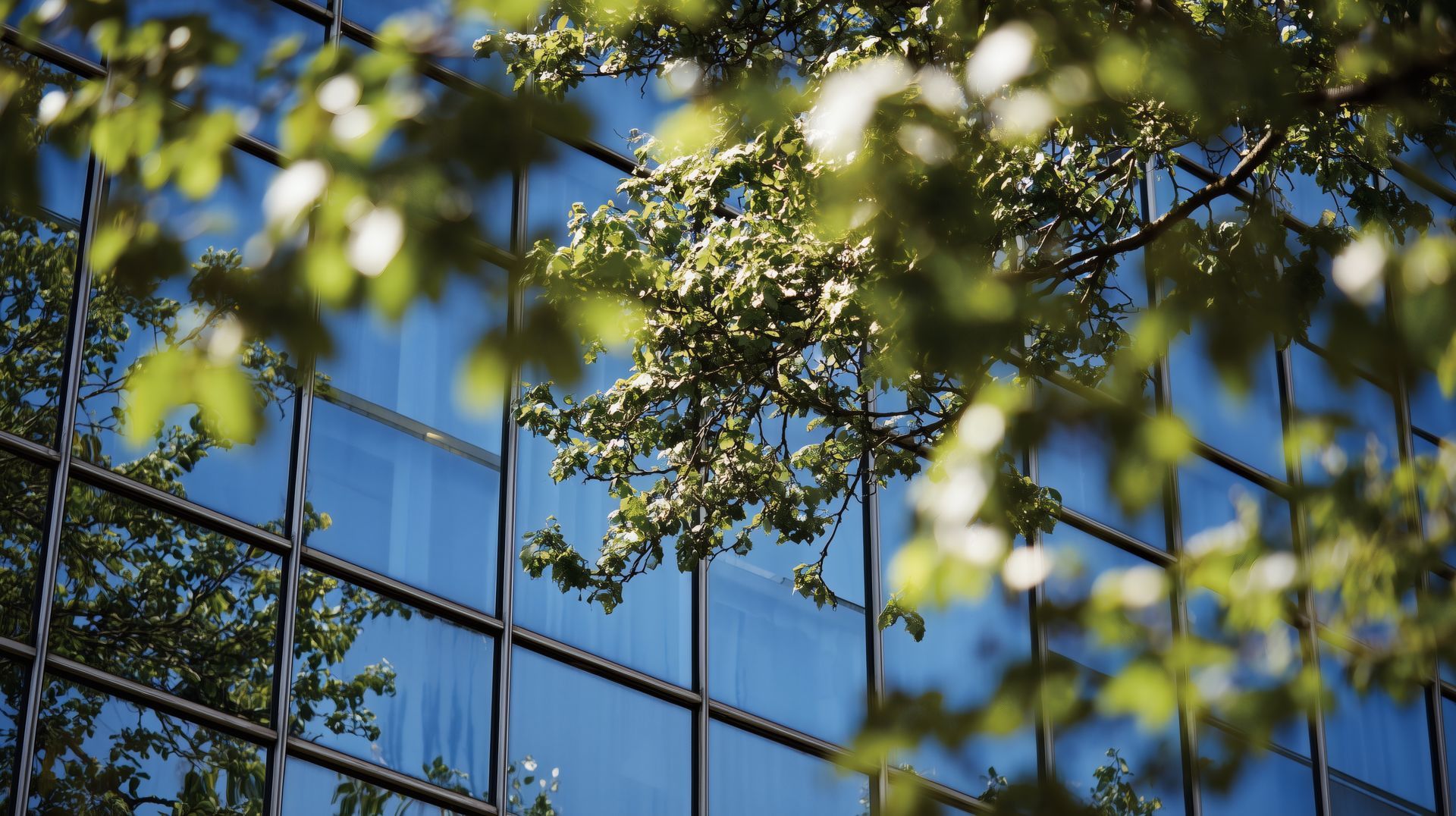 Bâtiment derrière des arbres