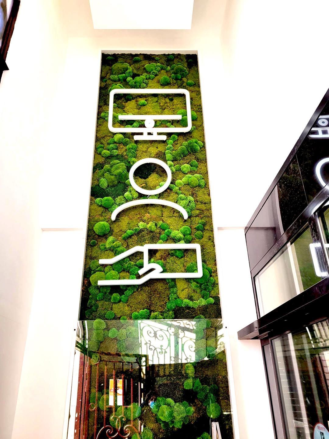 Mur végétal stabilisé lumineux banque