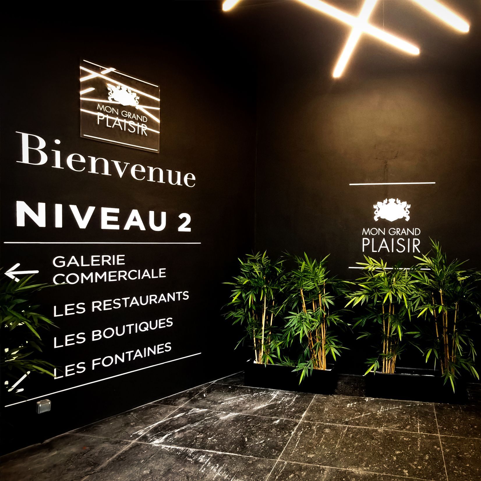 Shopping center Plaisir