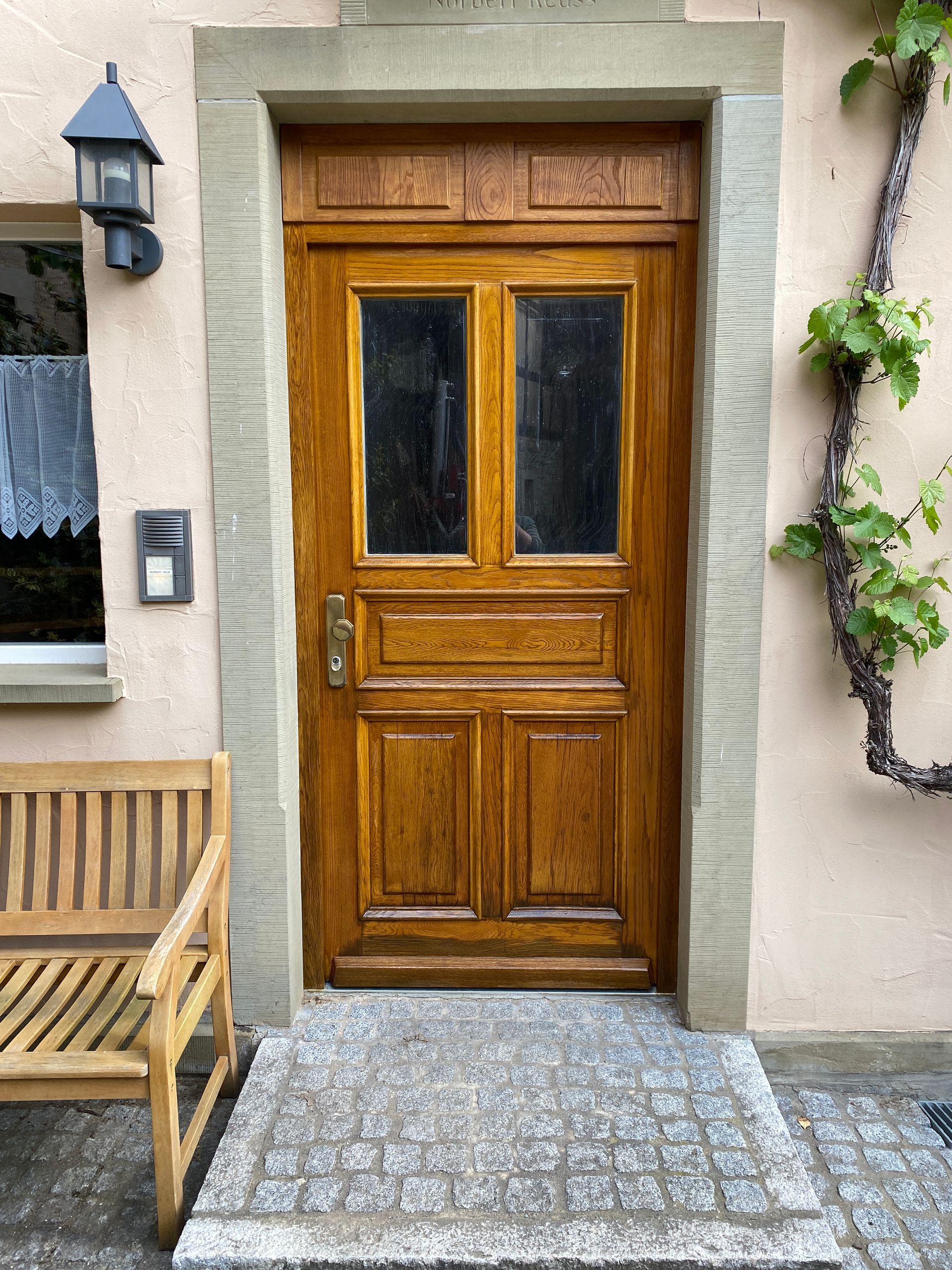 Holztür mit Glaseinsätzen, Steinrahmen und einer auf der rechten Seite wachsenden Weinrebe.