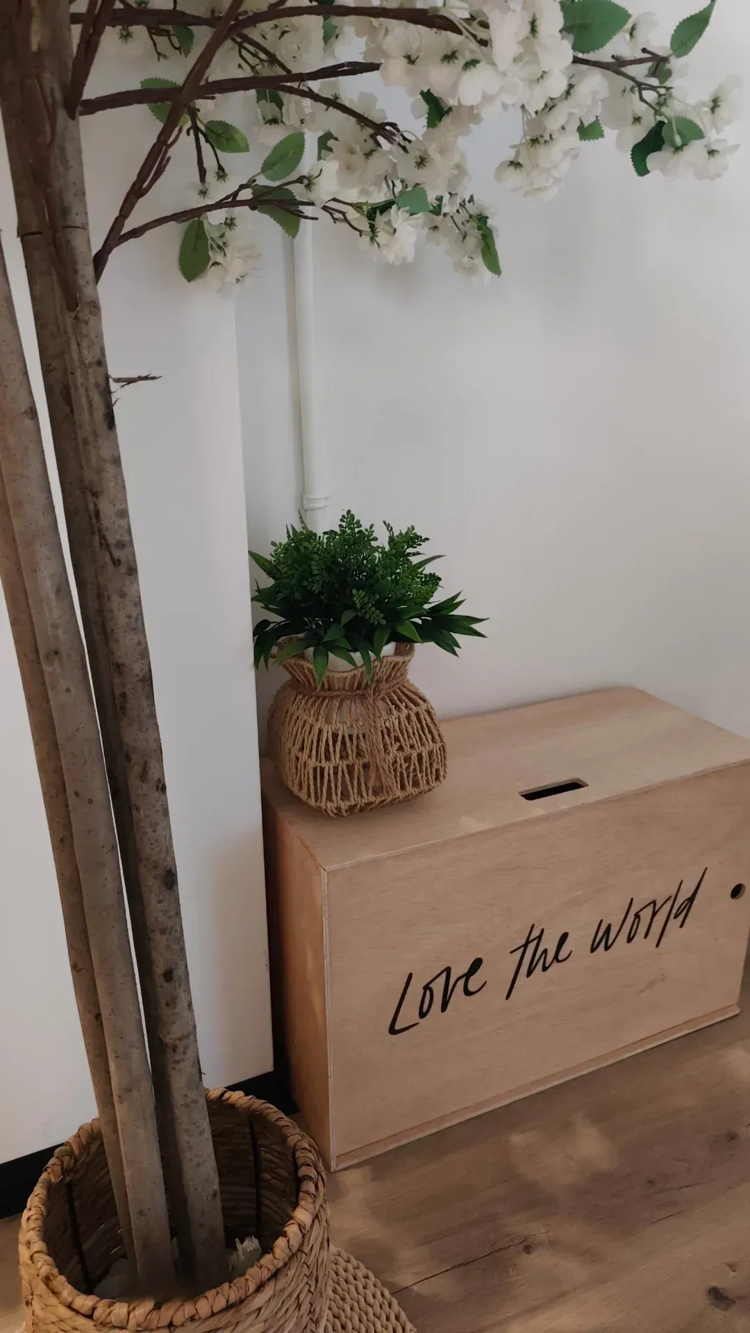 fotos clínica fisioemotion