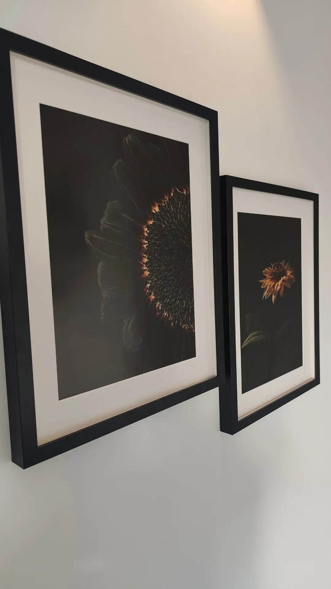 fotos clínica fisioemotion