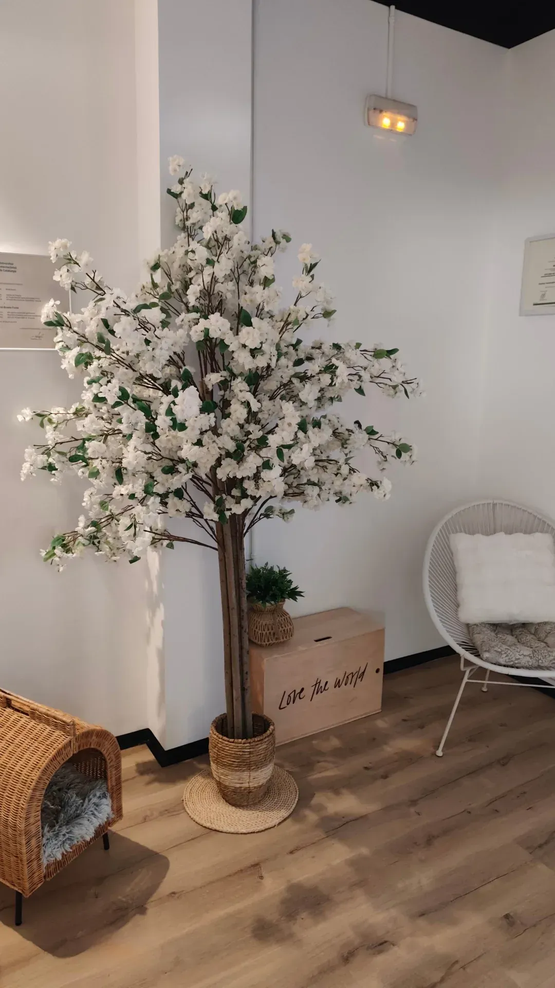 fotos clínica fisioemotion