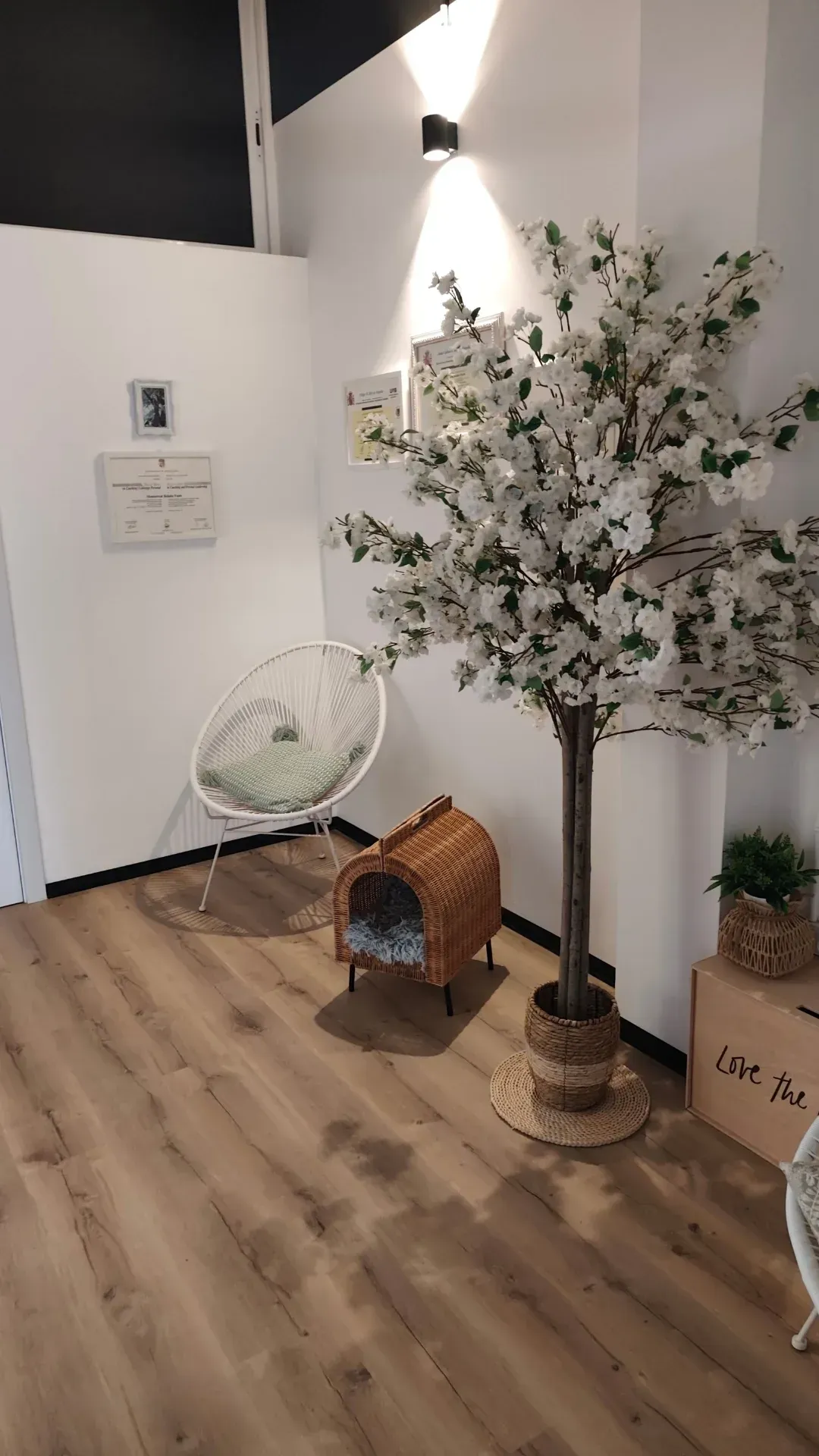 fotos clínica fisioemotion