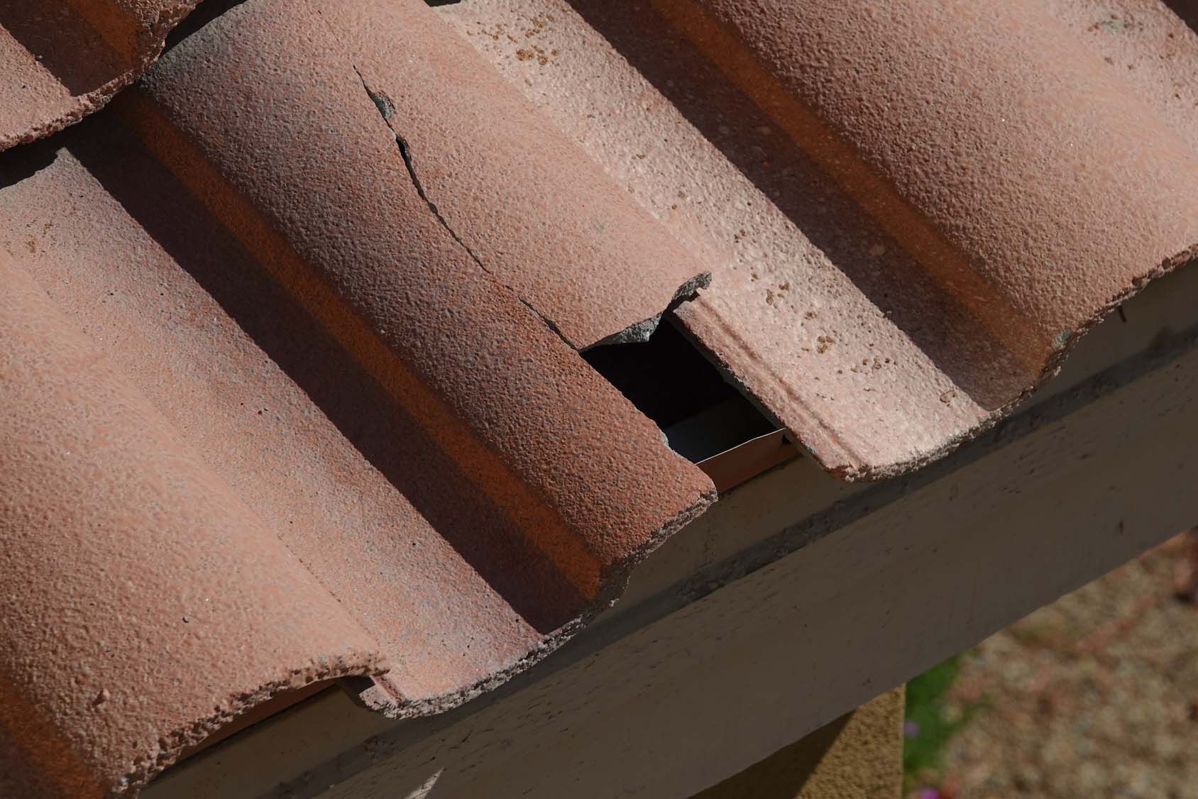 Dachreparaturen - Ber4Roof GmbH in Lausen