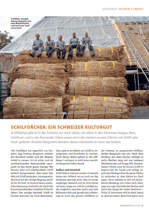Schilfdächer Bericht - Ber4Roof GmbH in Lausen