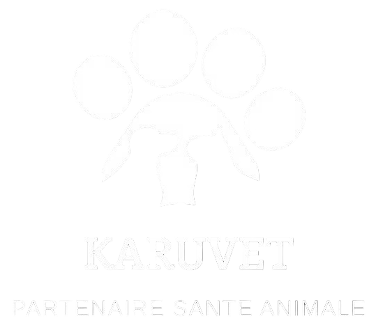 Logo de KARUVET