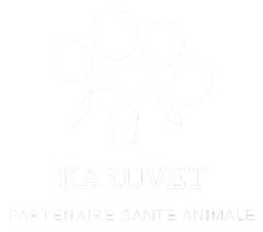 Logo de KARUVET