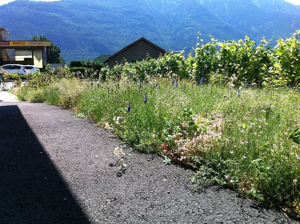 paysagiste-creation-jardin