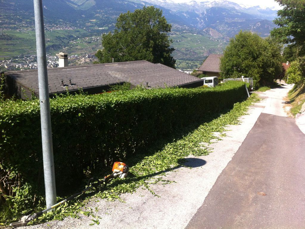 Taille d'une haie - Cédric Devènes - Riddes