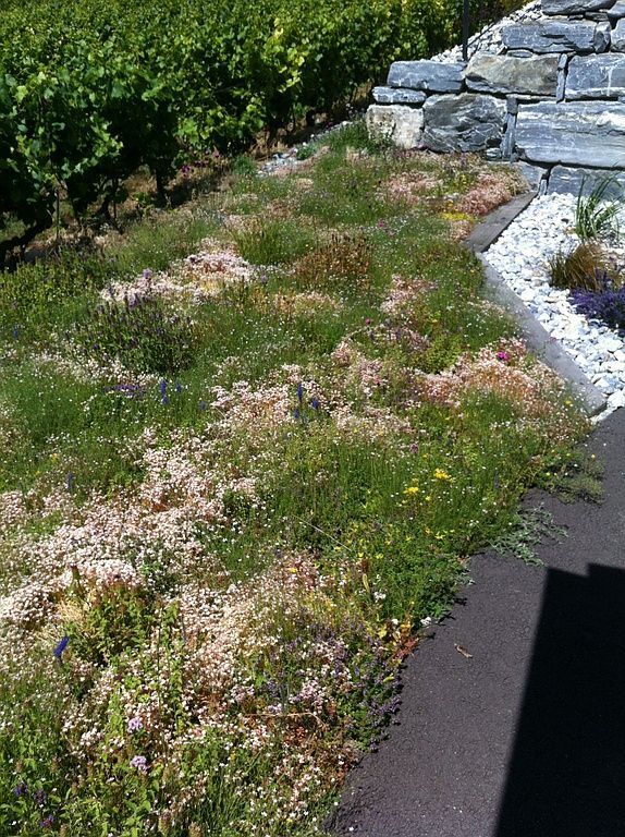 paysagiste-creation-jardin