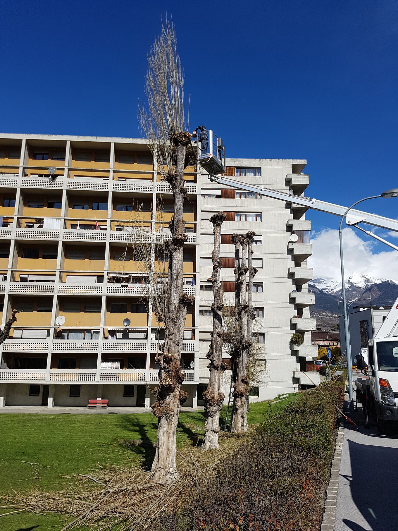 paysagiste-creation-jardin