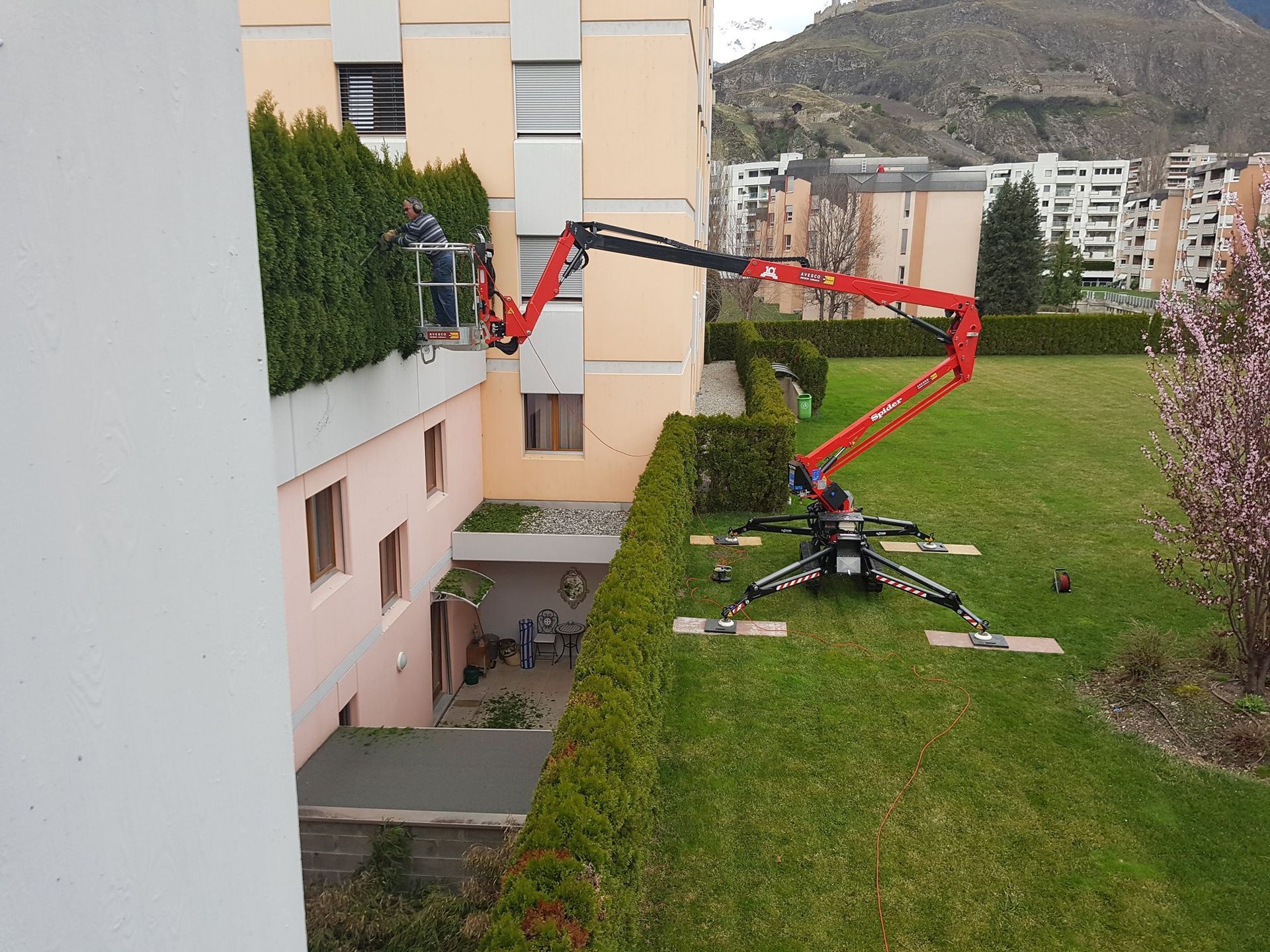 Vivaces pré-cultivées Devènes paysagiste Riddes