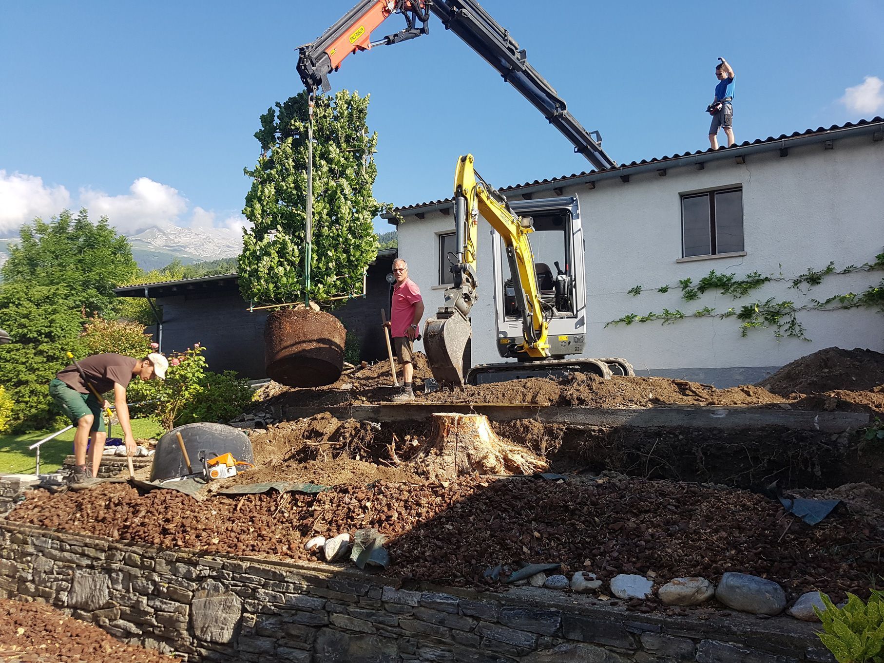 Vivaces pré-cultivées Paysagiste Devènes Cédric