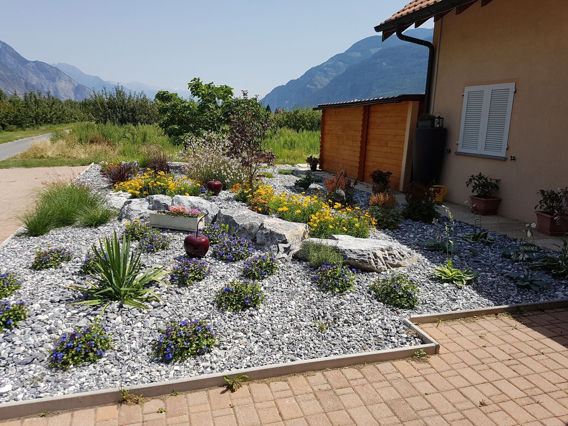 Vivaces pré-cultivées Devènes Cédric Riddes
