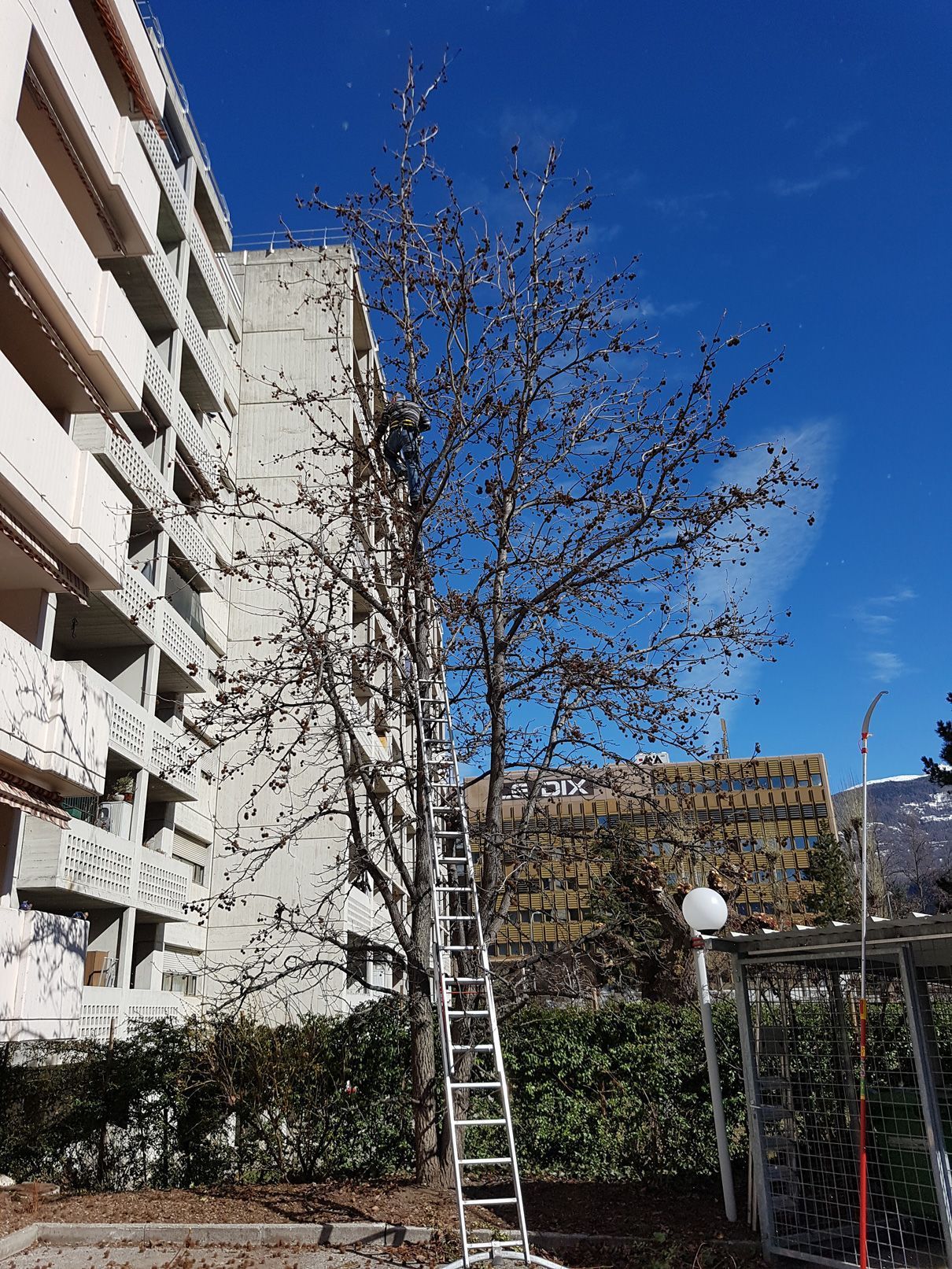 paysagiste-creation-jardin