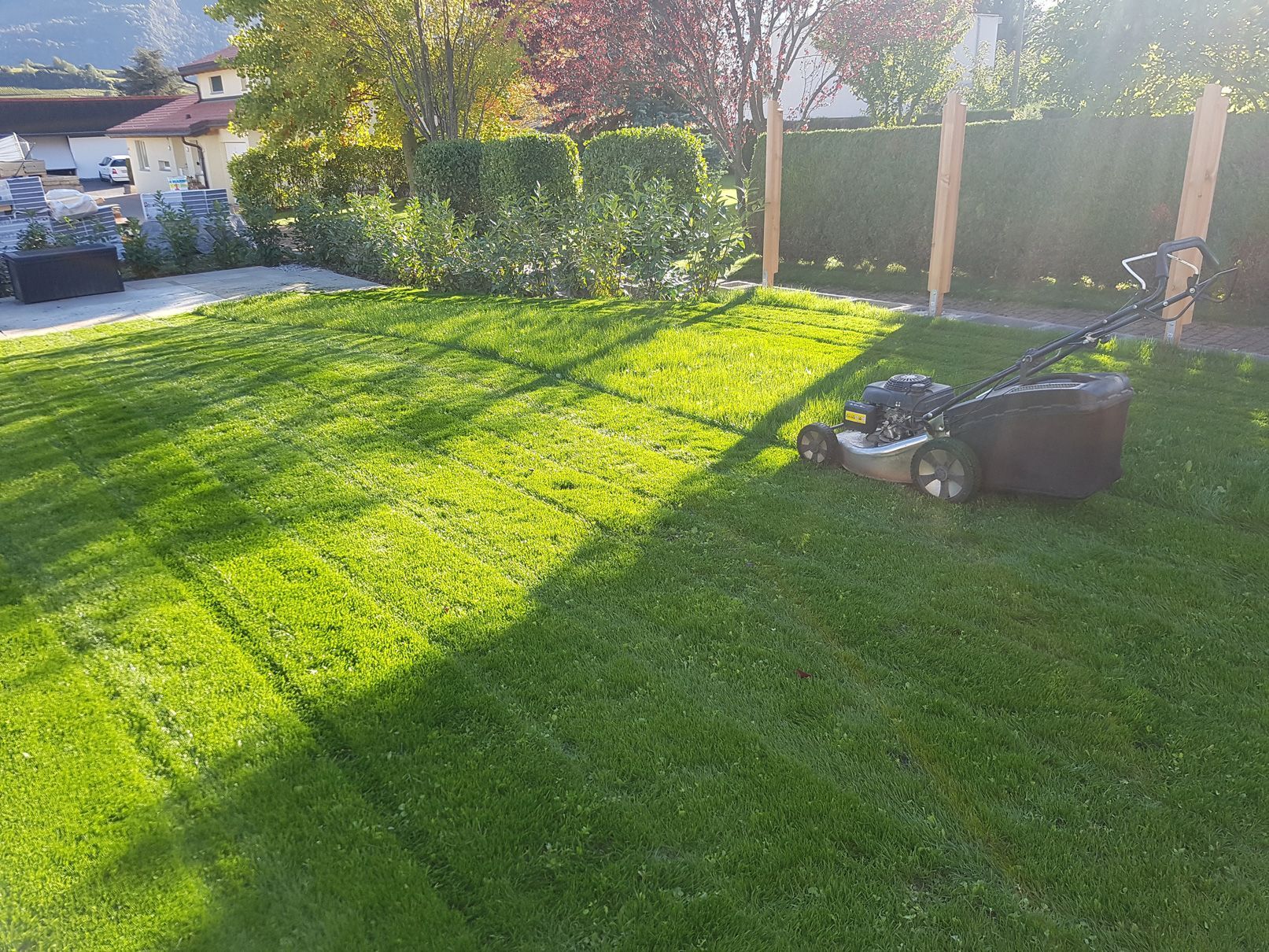 Tonte de pelouse Paysagiste Riddes